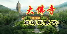 凸轮老妇的逼中国浙江-新昌大佛寺旅游风景区